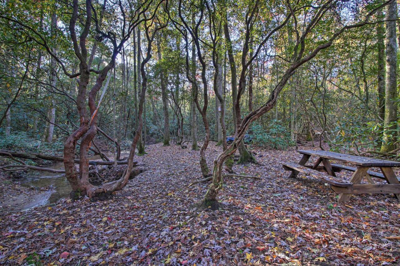 Villa 5-Acre North Georgia Mountain Retreat With Creek! Sautee Nacoochee Esterno foto